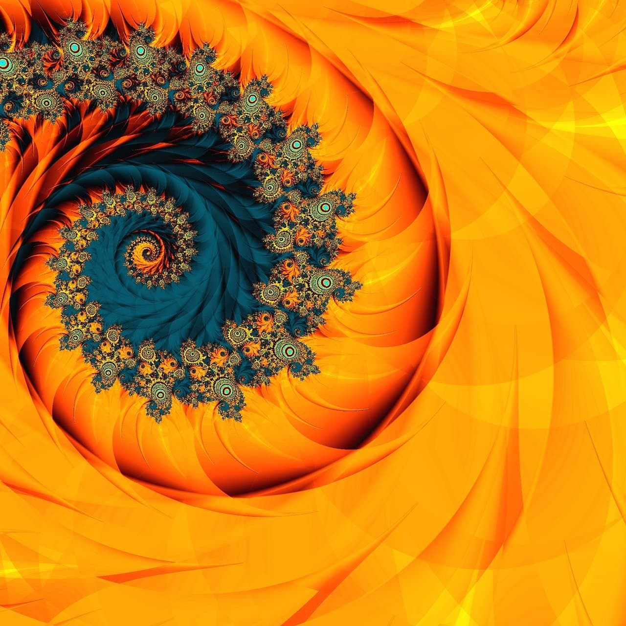 A flower resembling the Fibonacci spiral