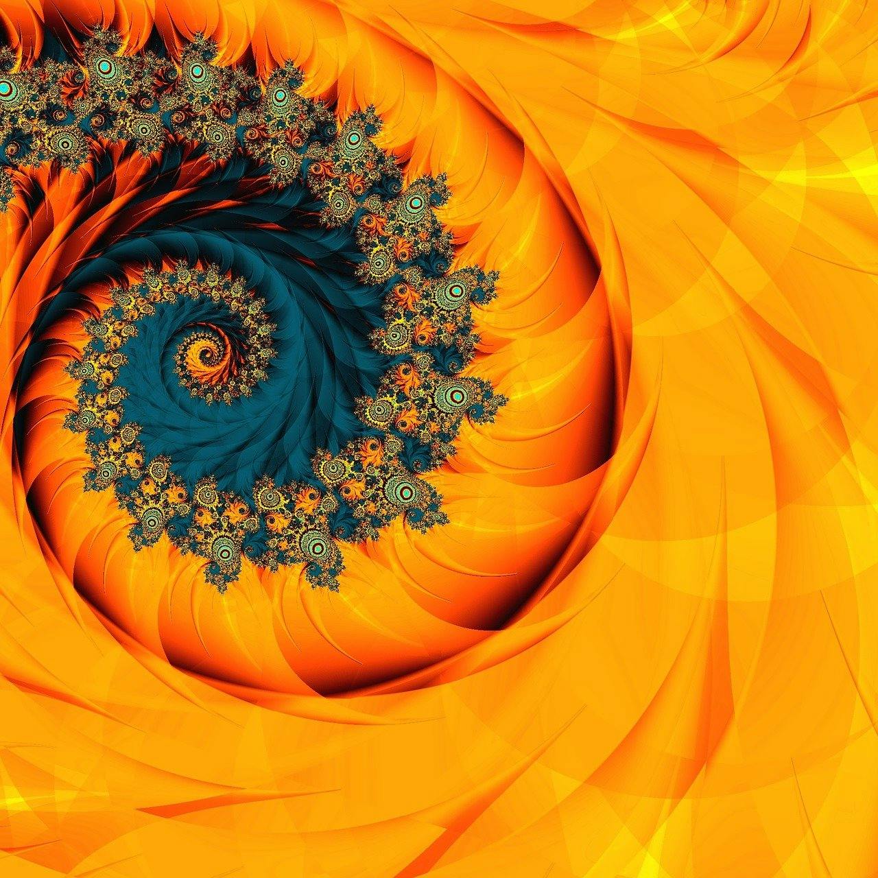 A flower resembling the Fibonacci spiral